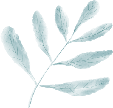 Blue leave Plant Vector drawing